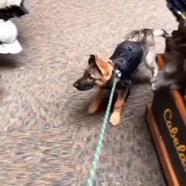  ....iming   'recent posts' 