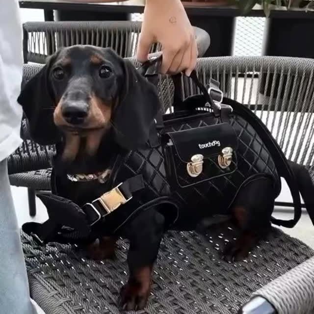  ..........fan.club_   'recent posts' 