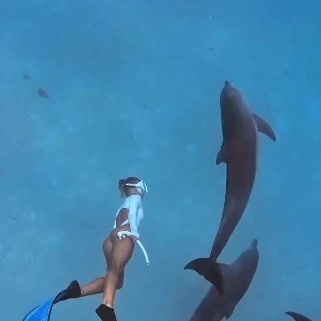  .......s.images   'recent posts' 