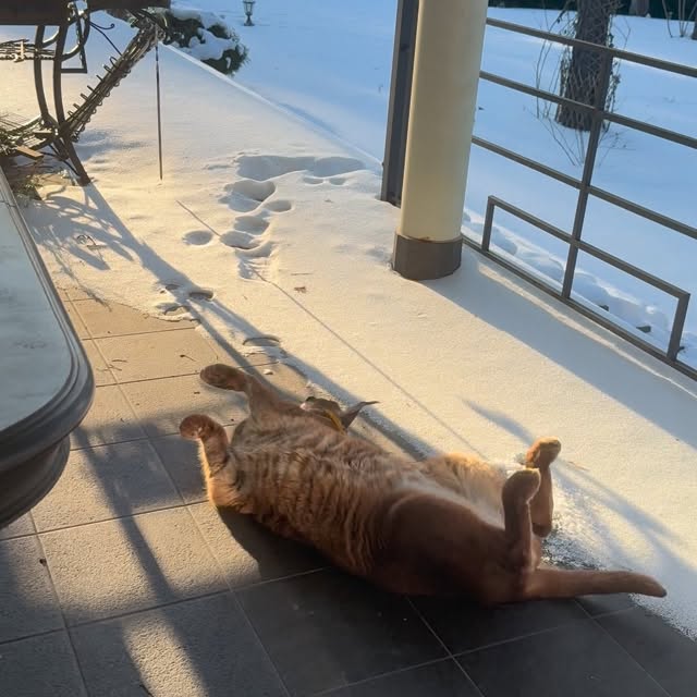  ......aracal   'recent posts' 