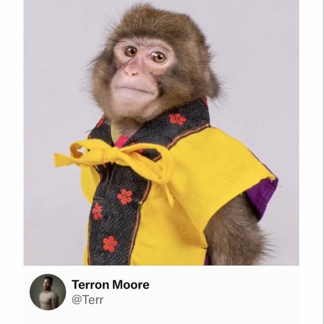  .....coptic   'recent posts' 