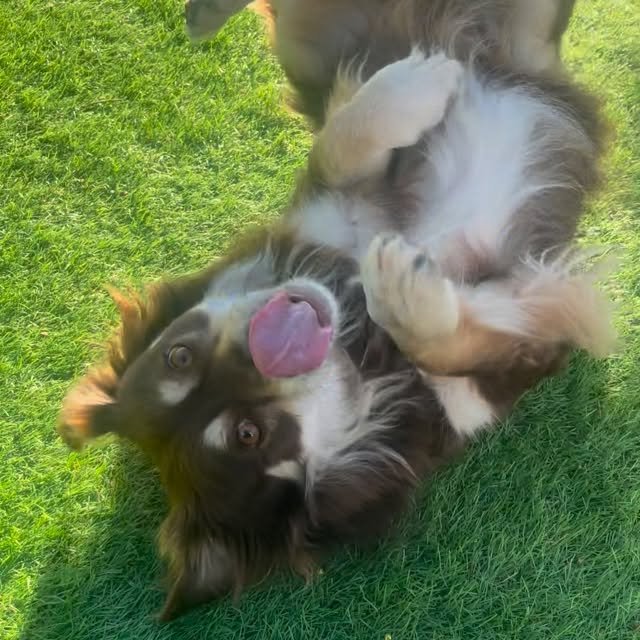  .....og2020   'recent posts' 