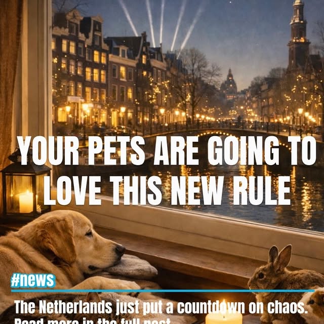  .......amworld   'recent posts' 