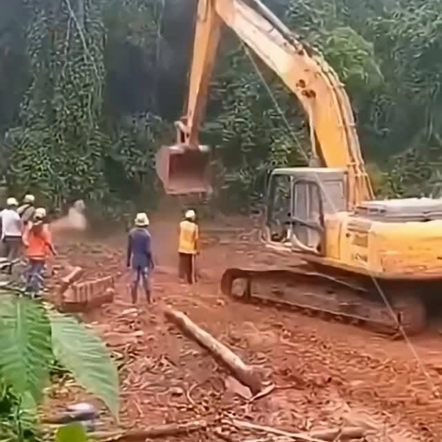  .....nly.ai   'recent posts' 