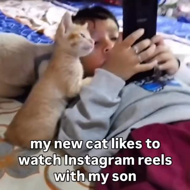  ......nd.kits   'recent posts' 