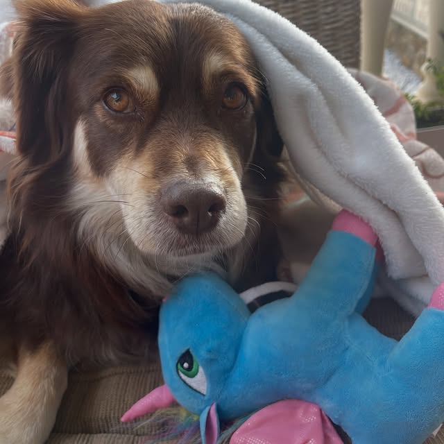  .....og2020   'recent posts' 