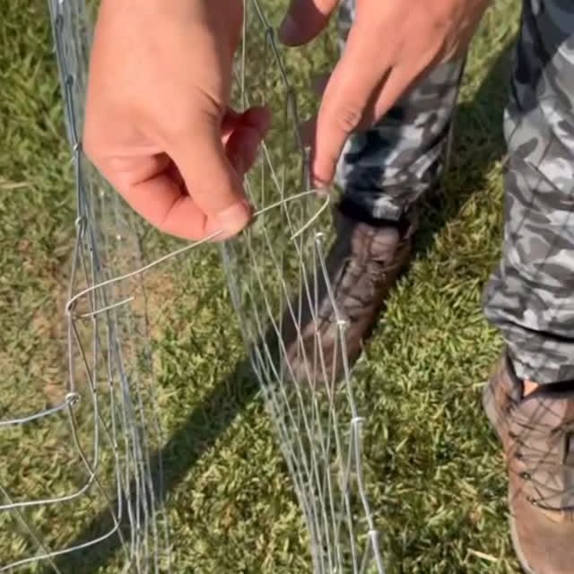  ........_culture_   'recent posts' 