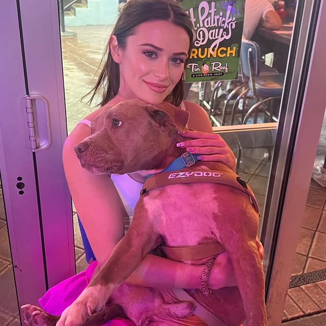  .......beadles   'recent posts' 