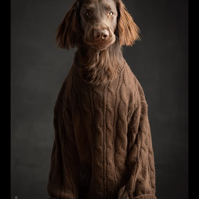  ..........hotography   'recent posts' 