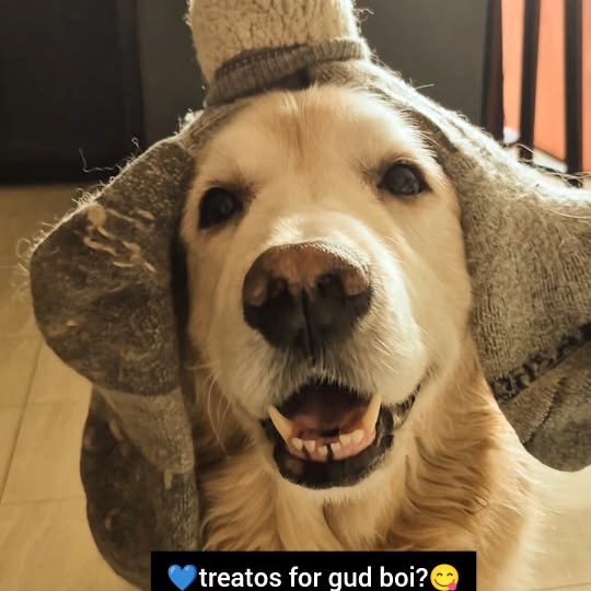  ..ps   'recent posts' 