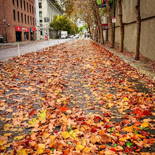  ......aphael   'recent posts' 