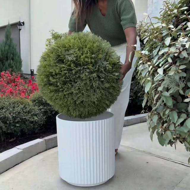  .......nippets   'recent posts' 