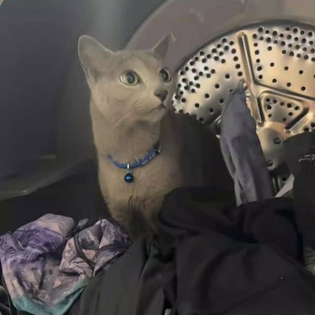  ......n_boris   'recent posts' 