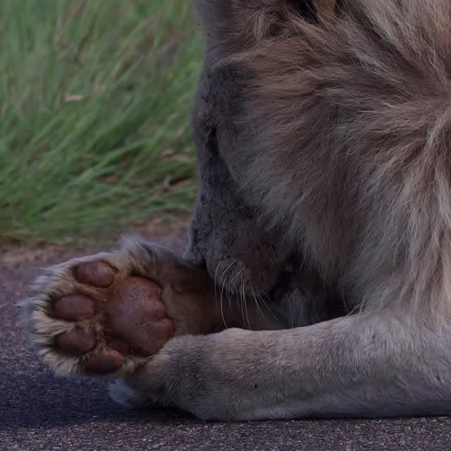  .........._sightings   'recent posts' 