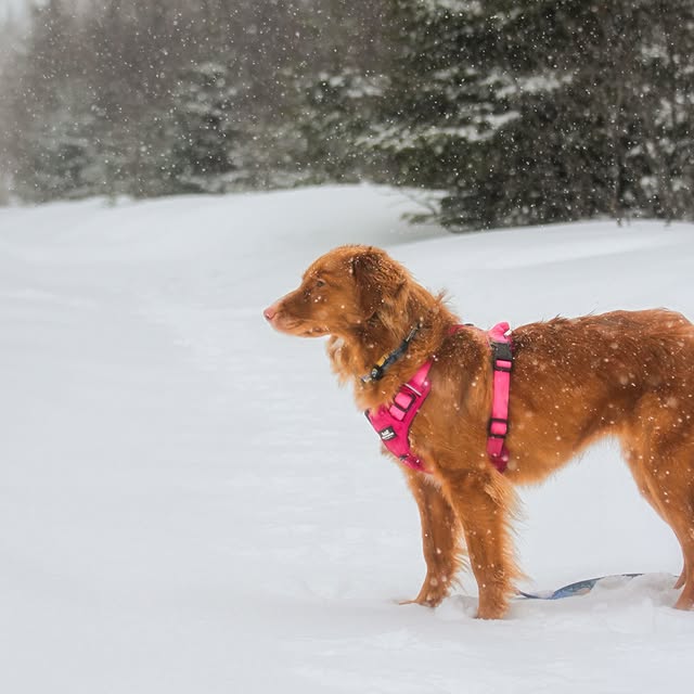  ......atoller   'recent posts' 