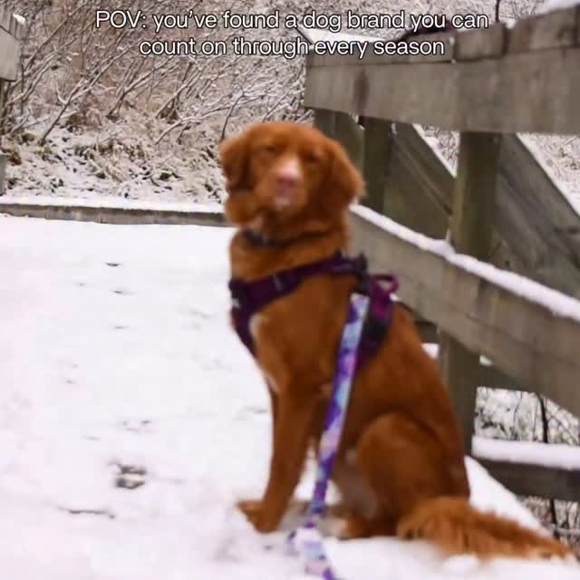  ......atoller   'recent posts' 