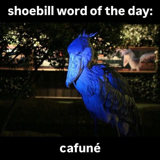  ..........rdoftheday   'recent posts' 