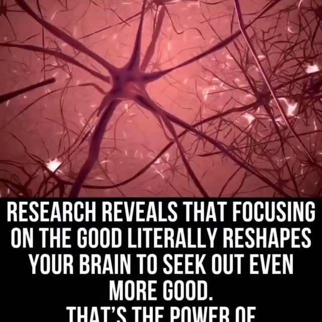  ........remedies   'recent posts' 