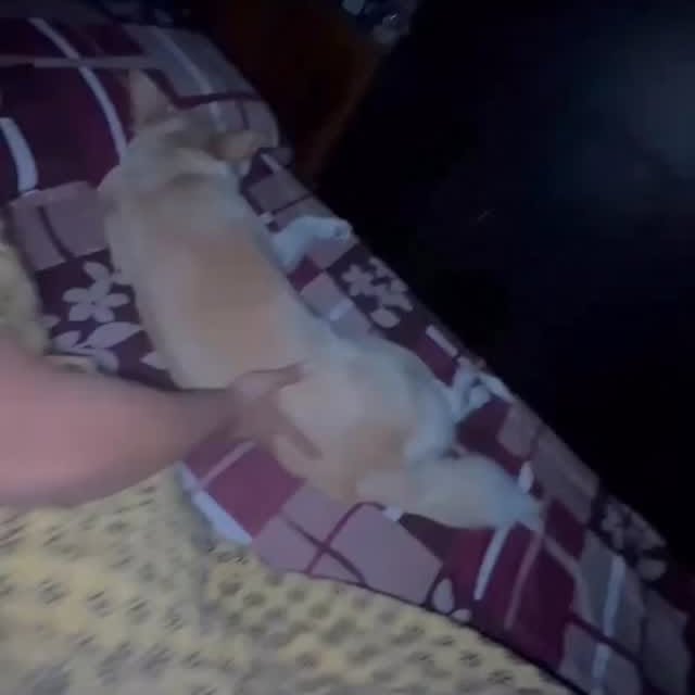  ......imalshq   'recent posts' 