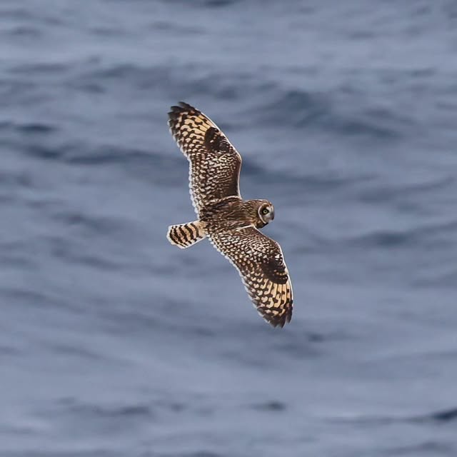  .....yland   'recent posts' 