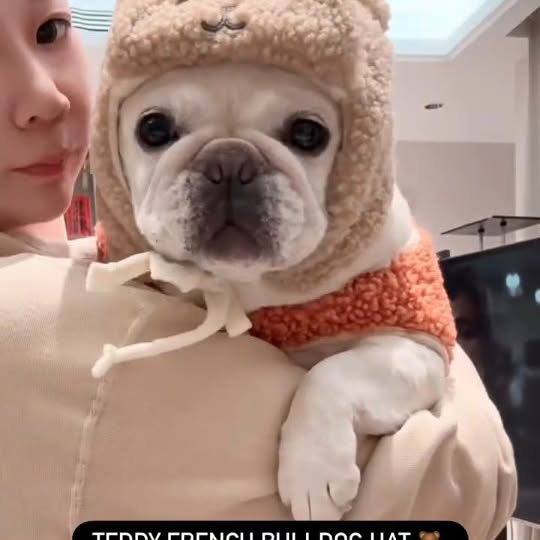  ..........ldogs_only   'recent posts' 