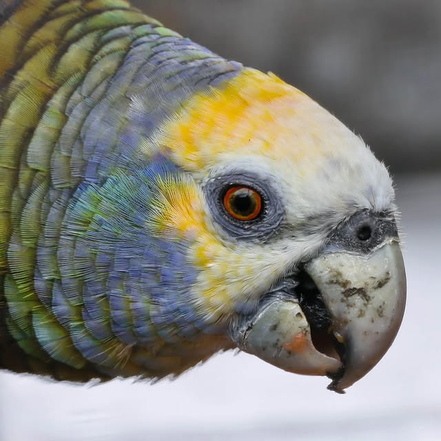  .....yland   'recent posts' 