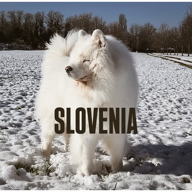  ........dventures   'recent posts' 