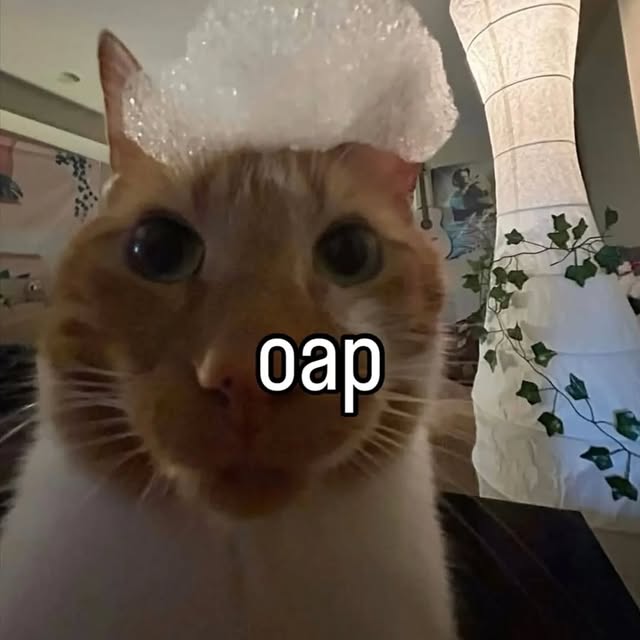  .....memes   'recent posts' 