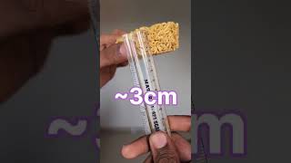  ....... Munches  'recent videos' 