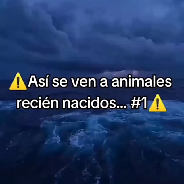  .......terioso   'recent posts' 