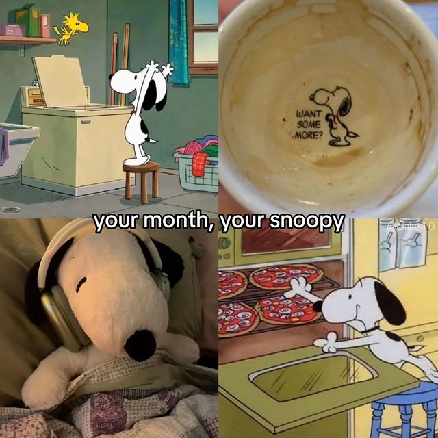  ......rlrise   'recent posts' 