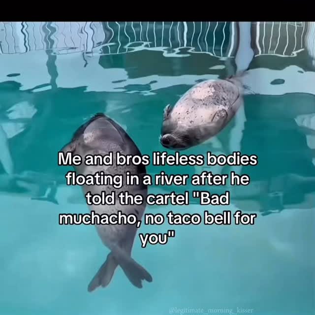  ............orning_kisser   'recent posts' 