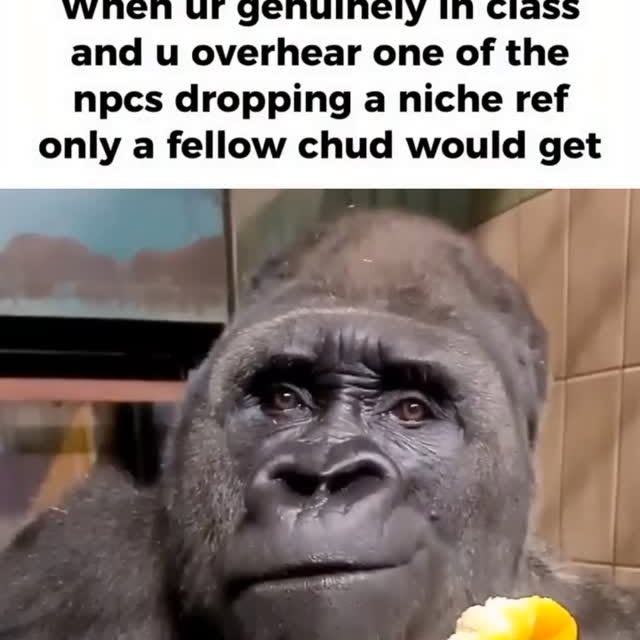  .......posting   'recent posts' 