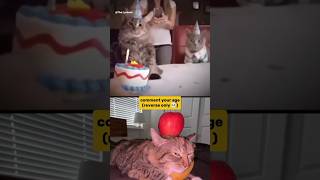  ......ricals  'recent videos' 