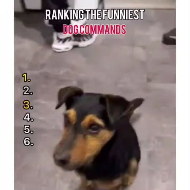  .....ibess   'recent posts' 