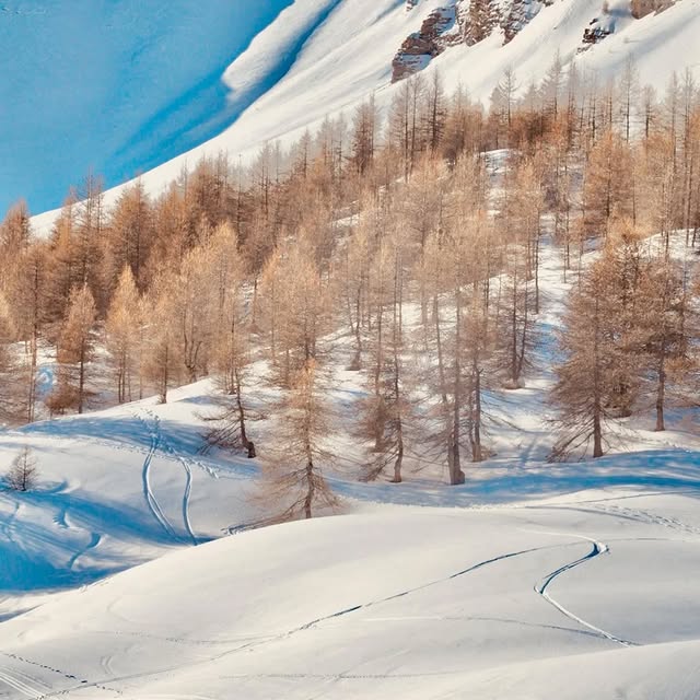  .........rancaises   'recent posts' 