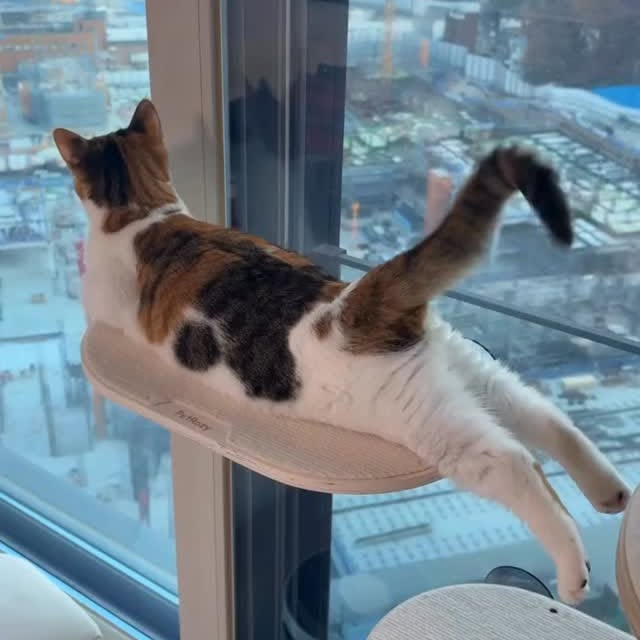  .......skittens   'recent posts' 