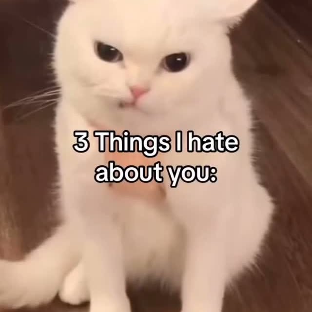  ......f_day_   'recent posts' 