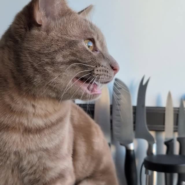  ......kekkek   'recent posts' 