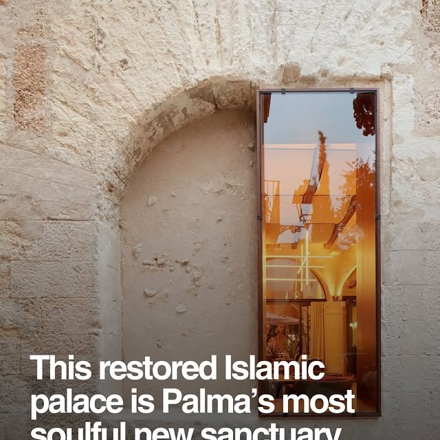  ....dose   'recent posts' 