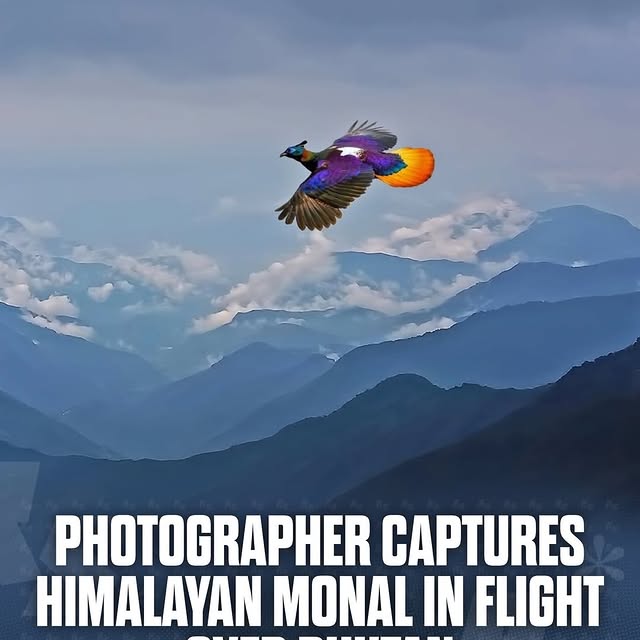  ......ravels   'recent posts' 