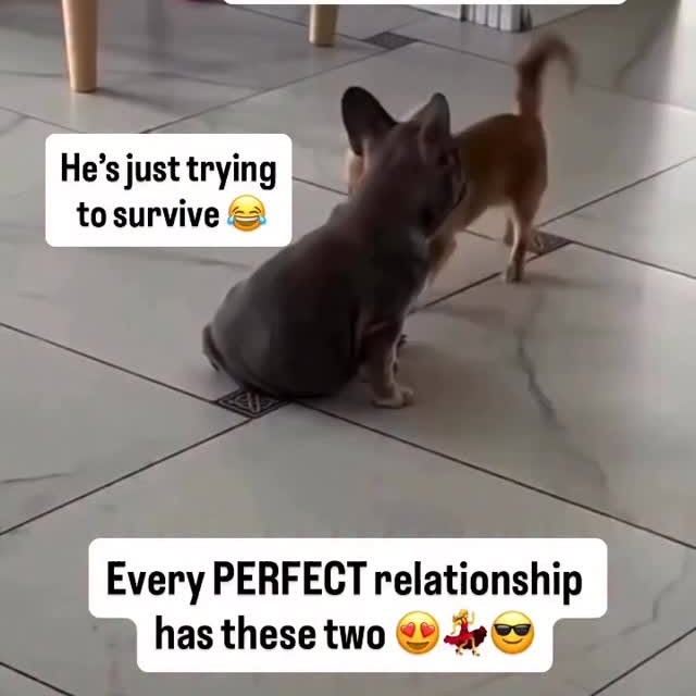  .......malshow   'recent posts' 