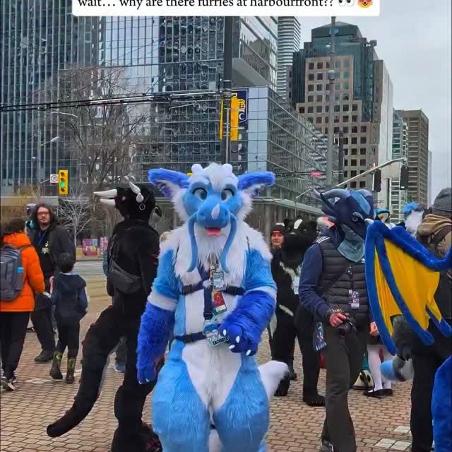  ........ftoronto   'recent posts' 