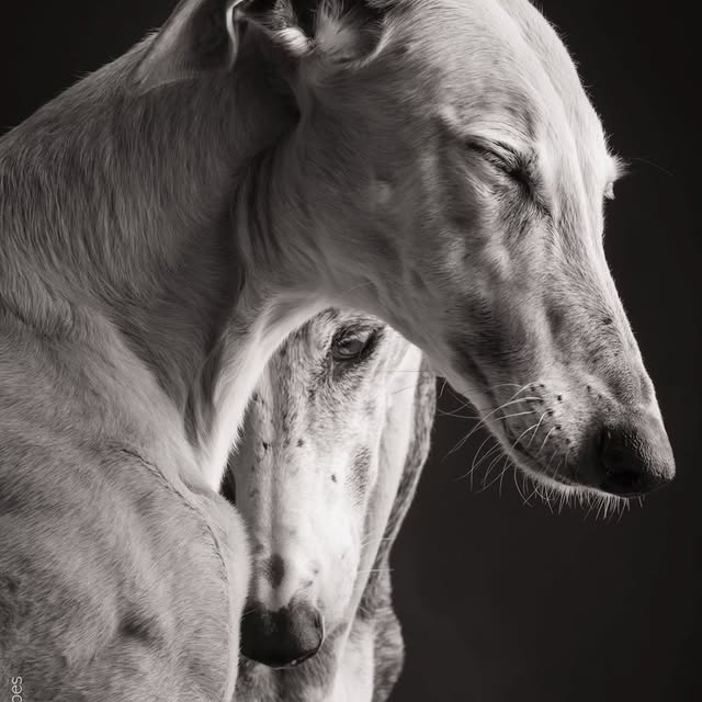  ..........hotography   'recent posts' 