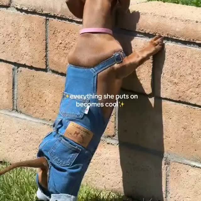  ..........fan.club_   'recent posts' 