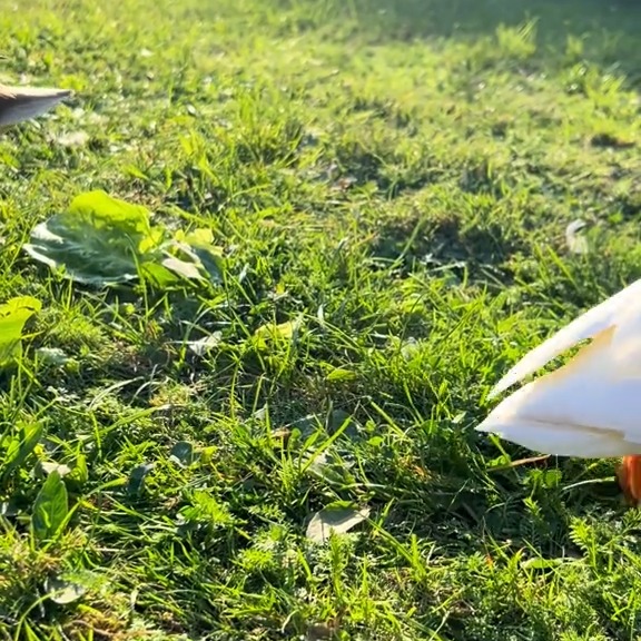  ........ckstatue   'recent posts' 