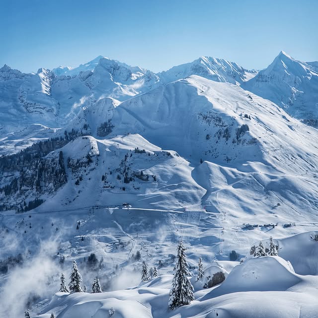  .........rancaises   'recent posts' 