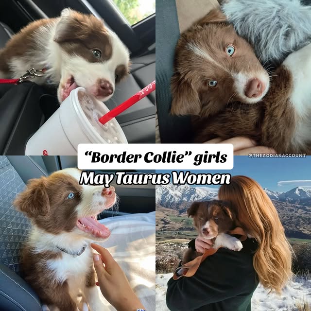  .....cbabe   'recent posts' 