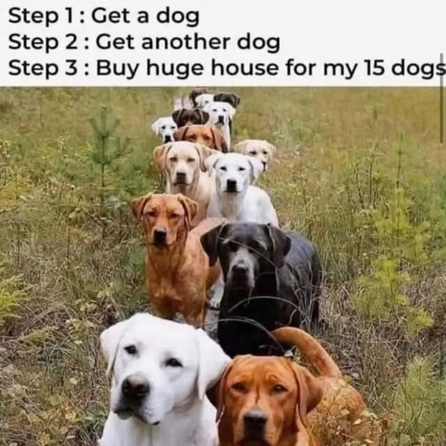  .......ndrulzz   'recent posts' 