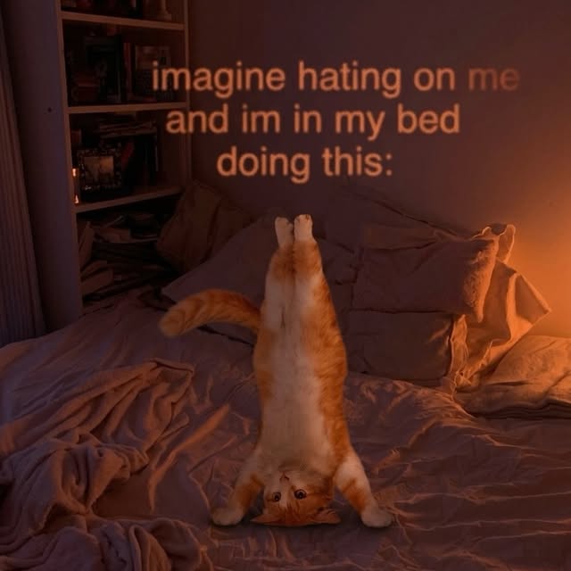  .....pawsz   'recent posts' 